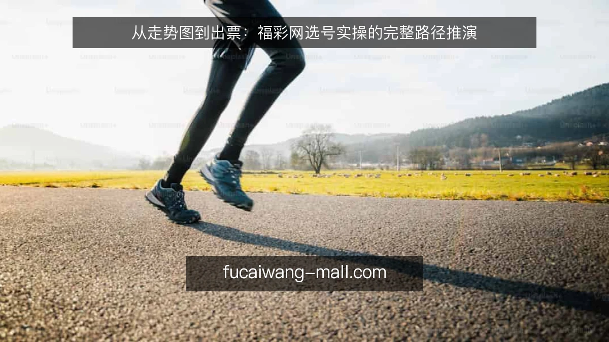 从走势图到出票：福彩网选号实操的完整路径推演