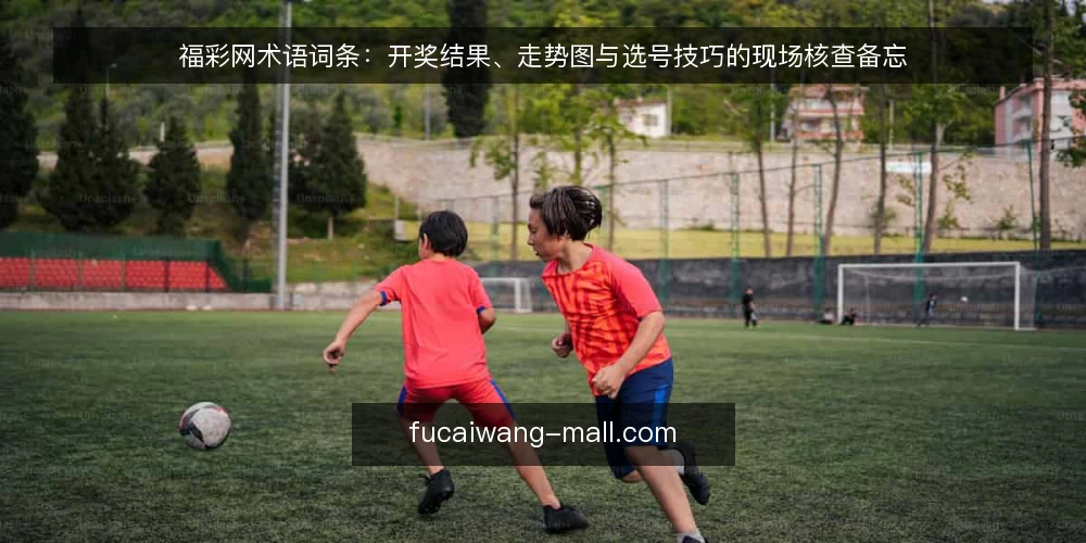 福彩网术语词条：开奖结果、走势图与选号技巧的现场核查备忘 — 现场要盯的信号 配图