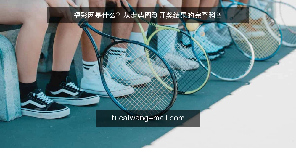 福彩网是什么？从走势图到开奖结果的完整科普 — 福彩网是什么：一个信息聚合与工具平台 配图