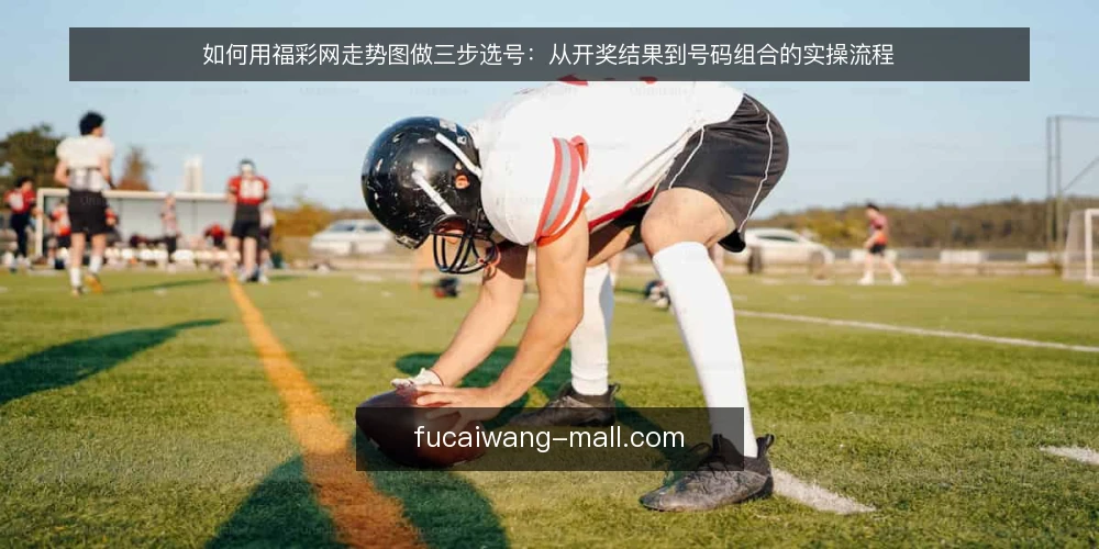 如何用福彩网走势图做三步选号：从开奖结果到号码组合的实操流程 — 第一步：准备工具与数据口径 配图